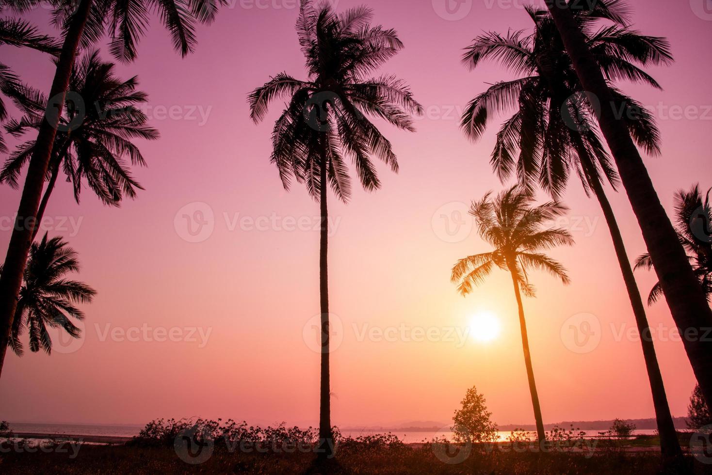 Silhouette Kokospalmen am Strand bei Sonnenuntergang. Vintage-Ton. foto