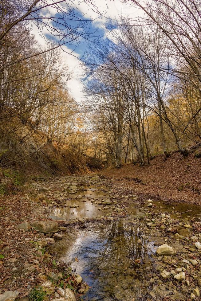 Herbst Natur Sicht. Herbst farbig Landschaft Aussicht von das Herbst Wald und klein Fluss foto