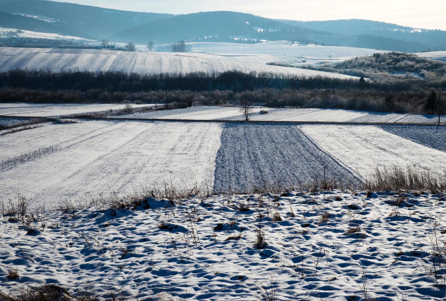 schneebedeckte Felder und Landschaft foto