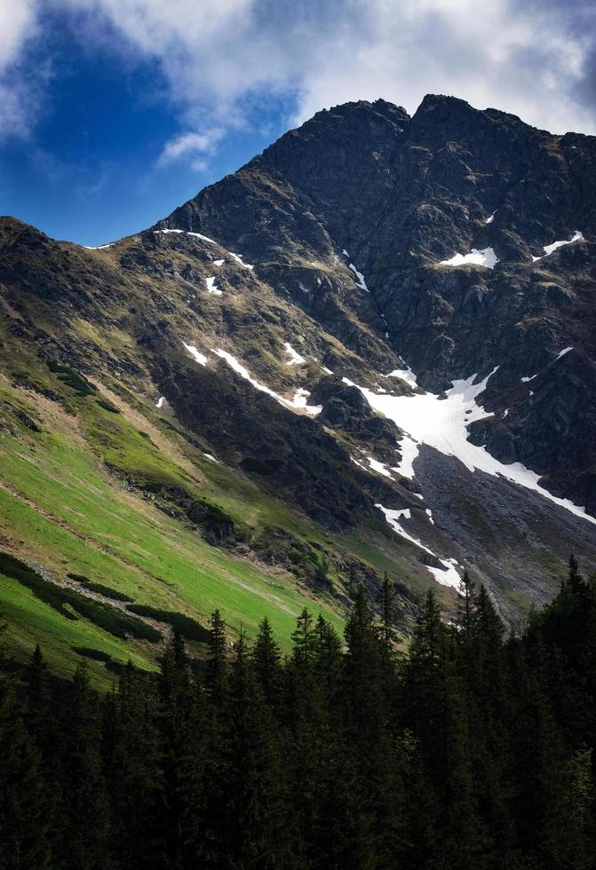 Frühling auf einem Berggipfel foto