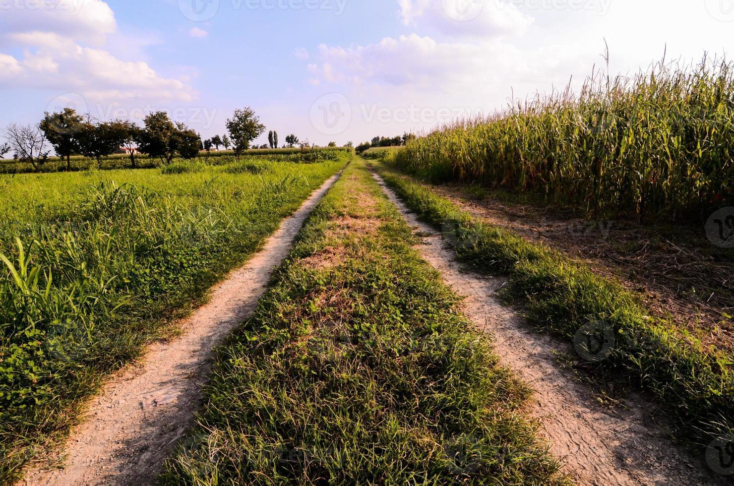 Straße auf dem Land foto