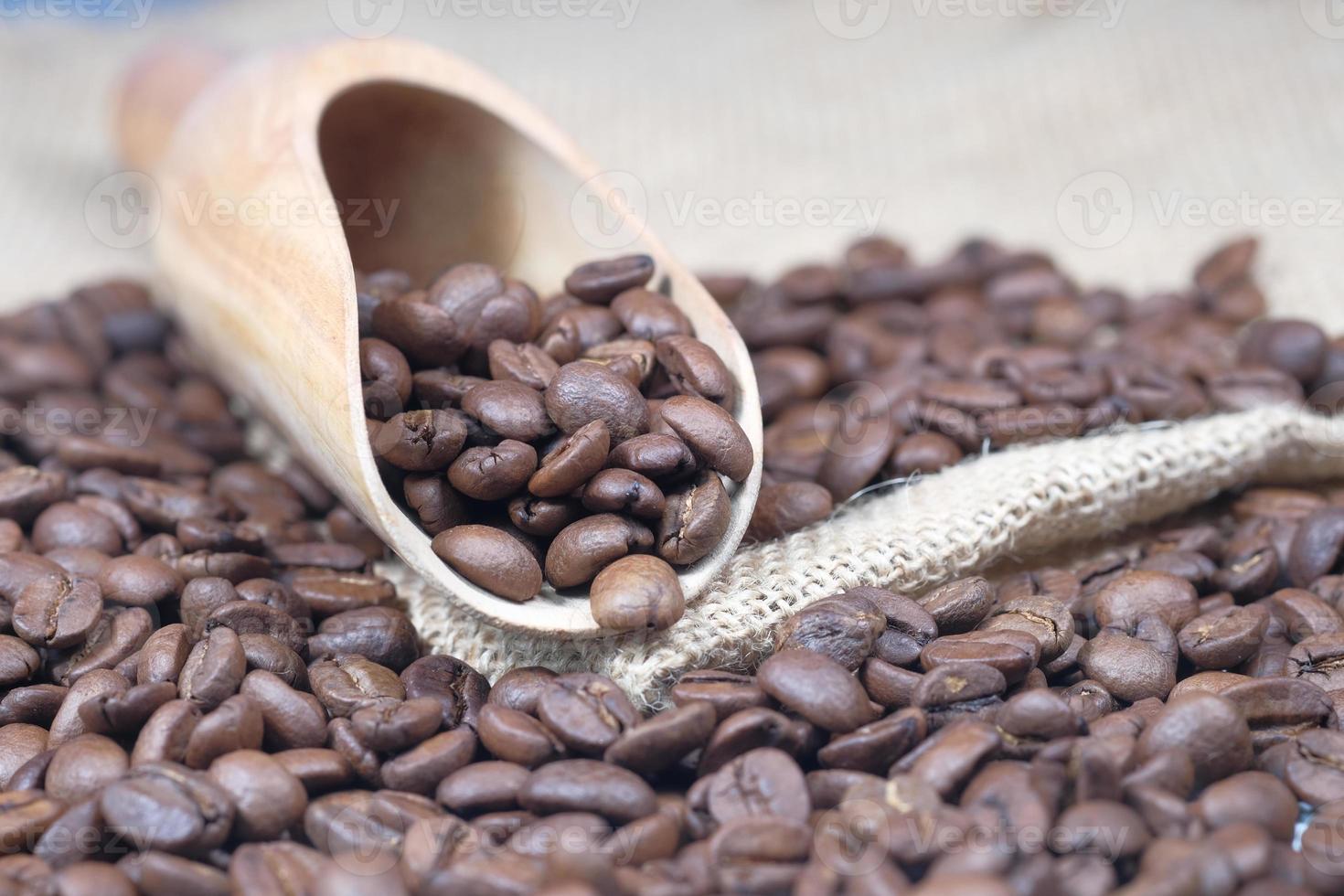 Draufsicht auf frische Kaffeebohnen foto
