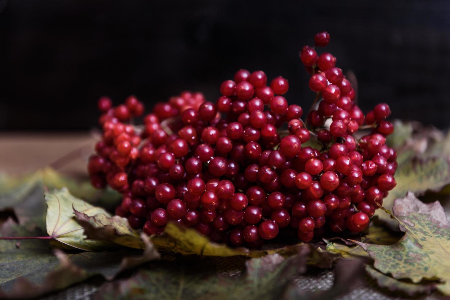 rote Viburnum-Beeren foto