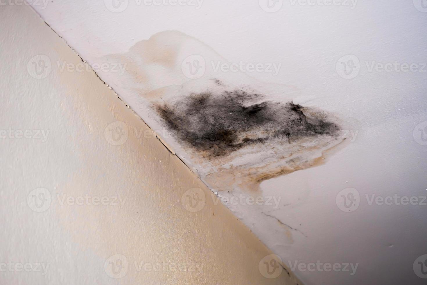 Wasserbeschädigtes Deckendach in einem alten verlassenen Haus. foto