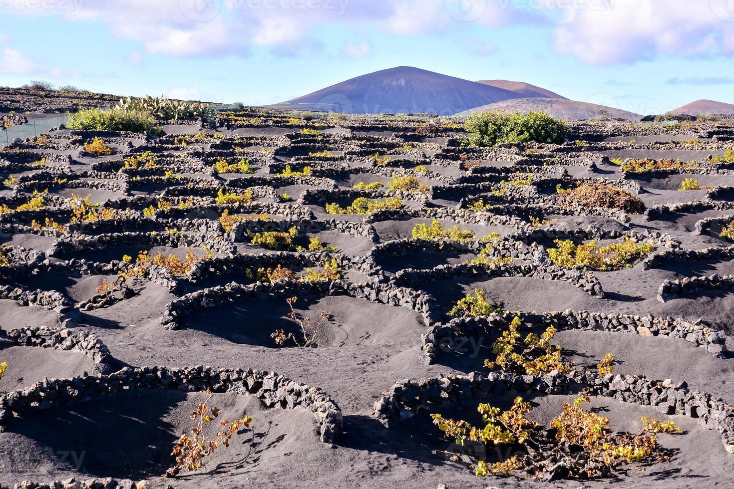 Landschaft auf Teneriffa, Spanien foto