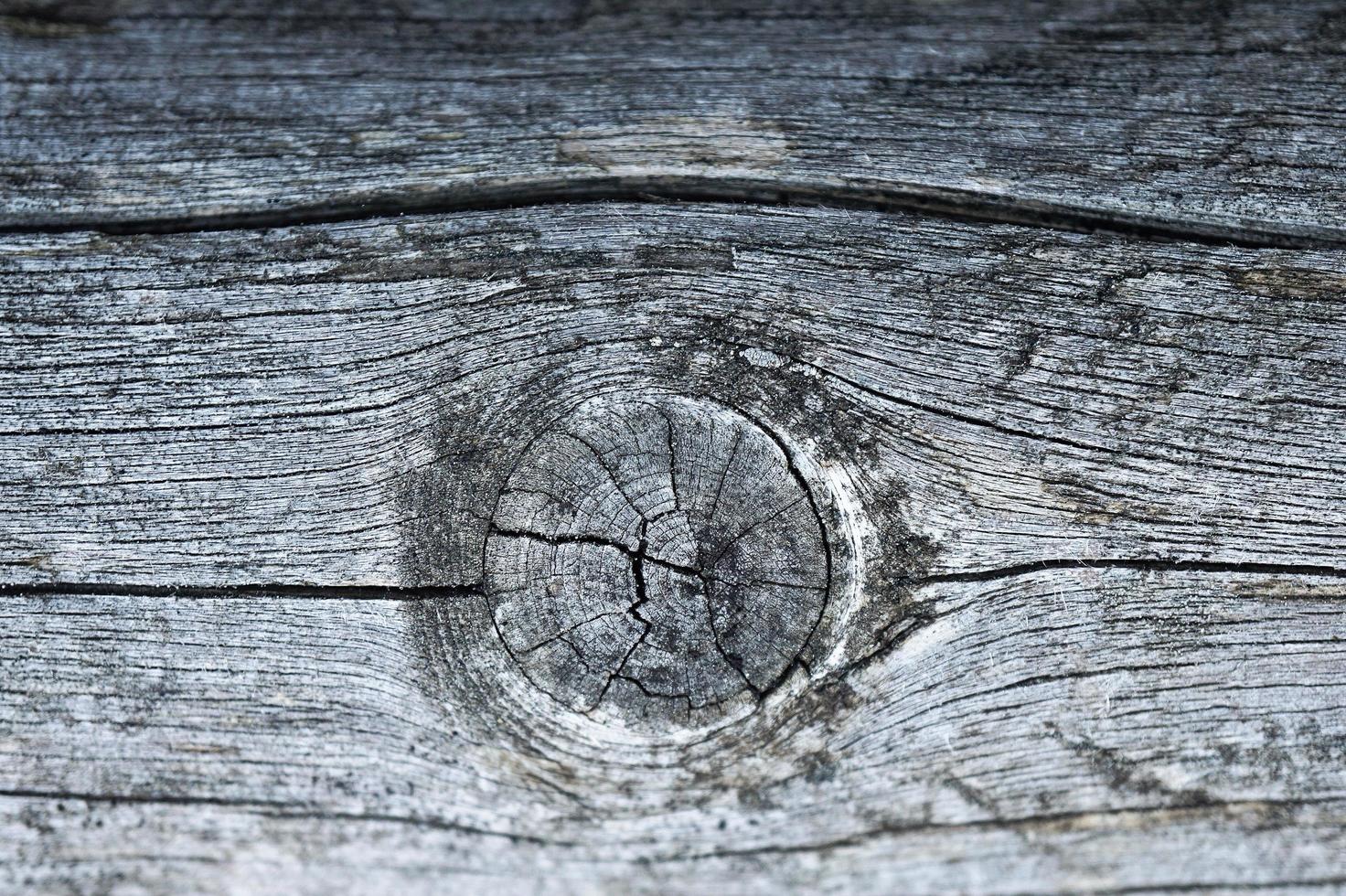 Holz Textur Hintergrund foto