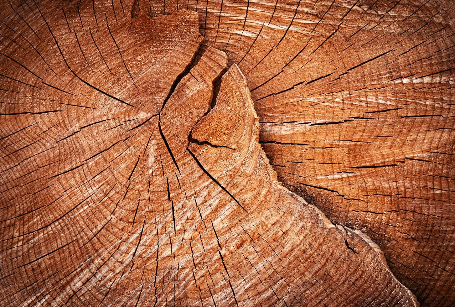 altes Holz geknackt foto