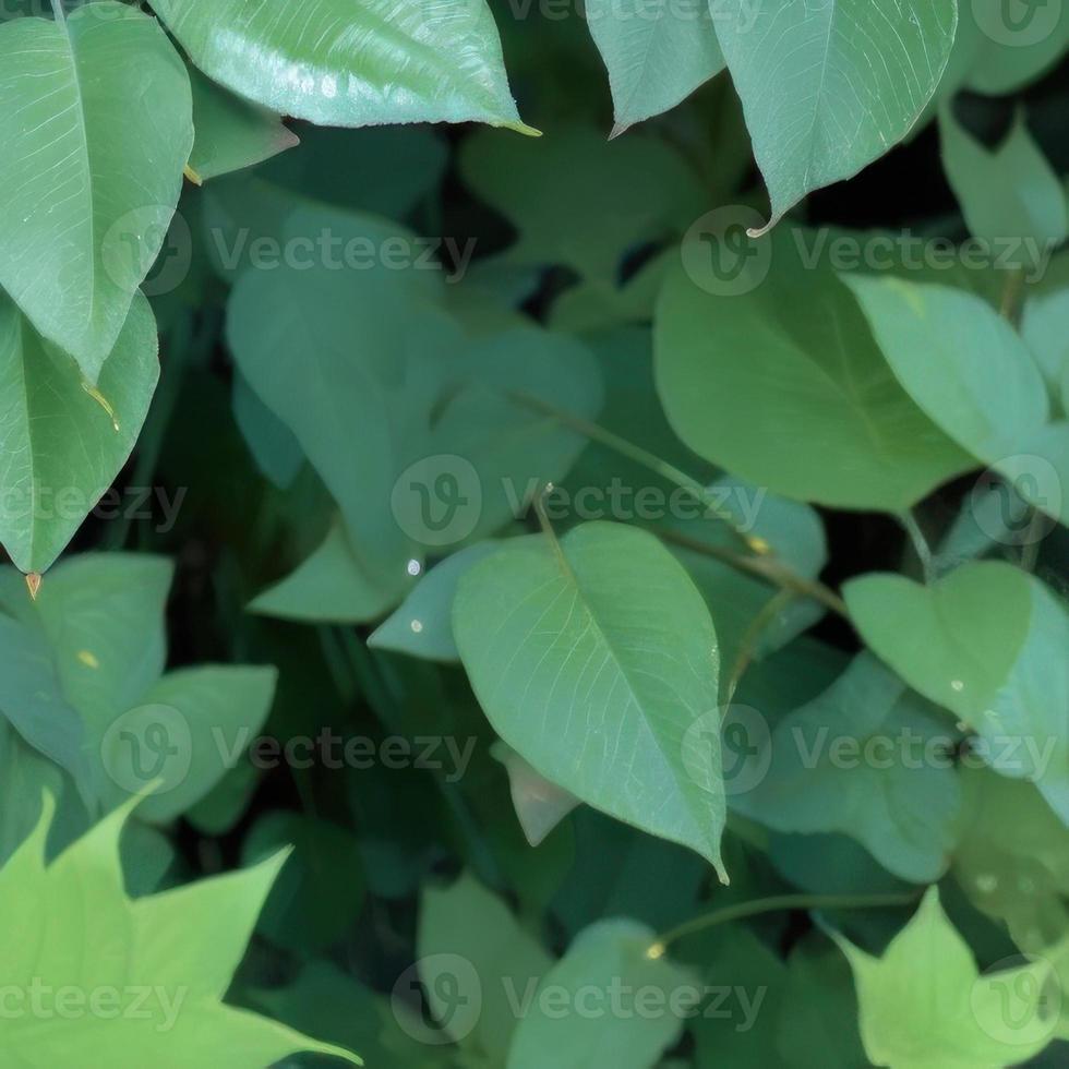 Grün Blatt Kopieren Raum, Natur Hintergrund leer Leinwand, minimalistisch Grün Blatt mit leeren Raum zum Design foto