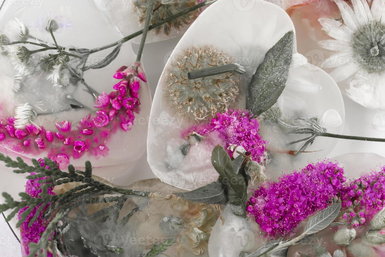 verschiedene Blumen im Eis Würfel. kreativ Blumen- Hintergrund. gefroren schön Pflanzen. foto