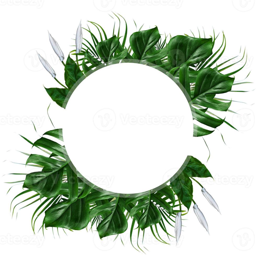 tropischer grüner Blattrahmen auf einem weißen Hintergrund foto