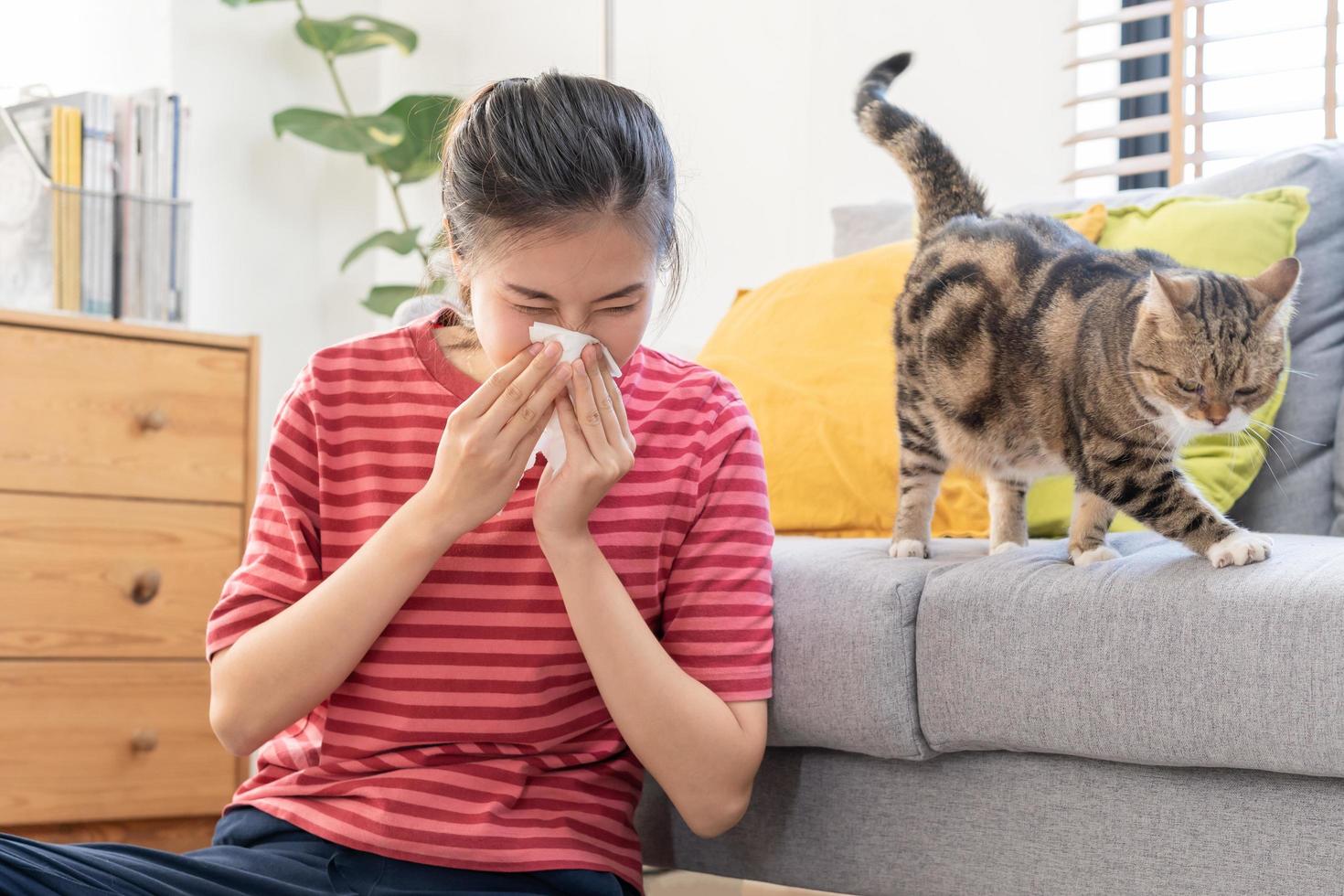 asiatisch jung Frau, Mädchen Hand im Niesen von Pelz Allergie während spielen mit ihr schön Katze, Haustier auf Teppich im Leben Zimmer beim heim, Wohnung. Gesundheit Pflege Rhinitis Krankheiten allergisch zu Tier Haar. foto