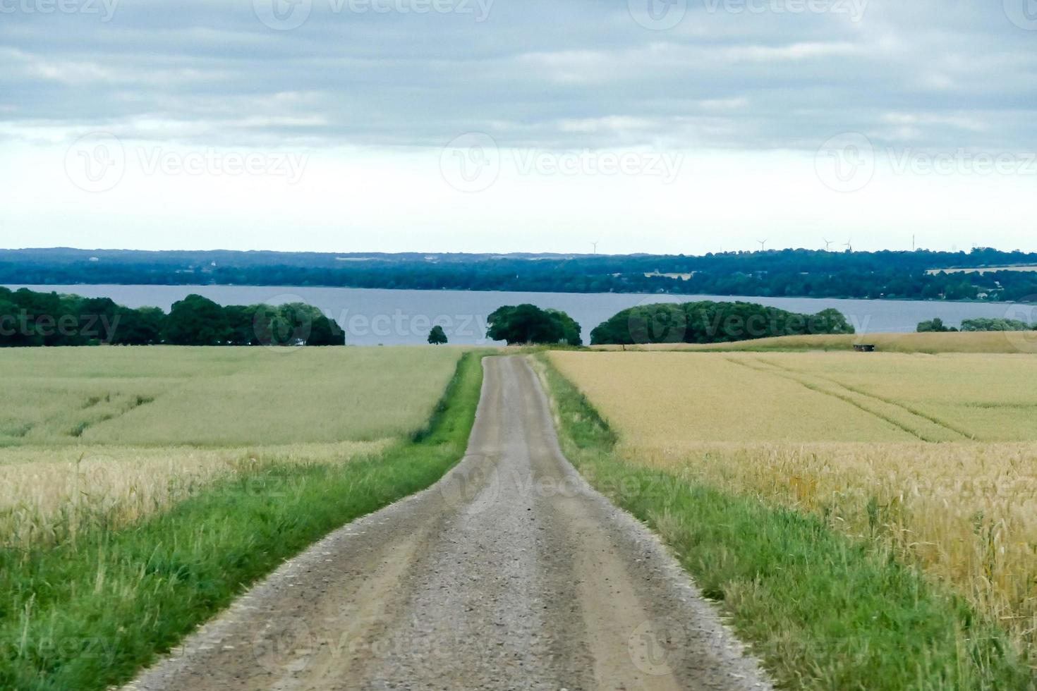 Landschaft in Schweden, Europa foto