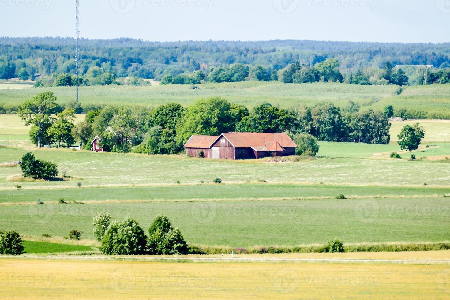 Landschaft in Schweden, Europa foto