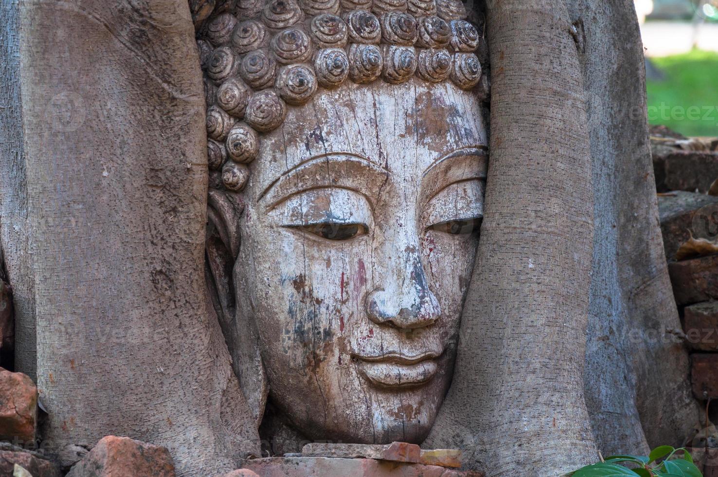 Buddha Kopf im Banyan Baum im archäologisch Seite? ˅ Nord thailand, überlieferung thailändisch Kunst foto