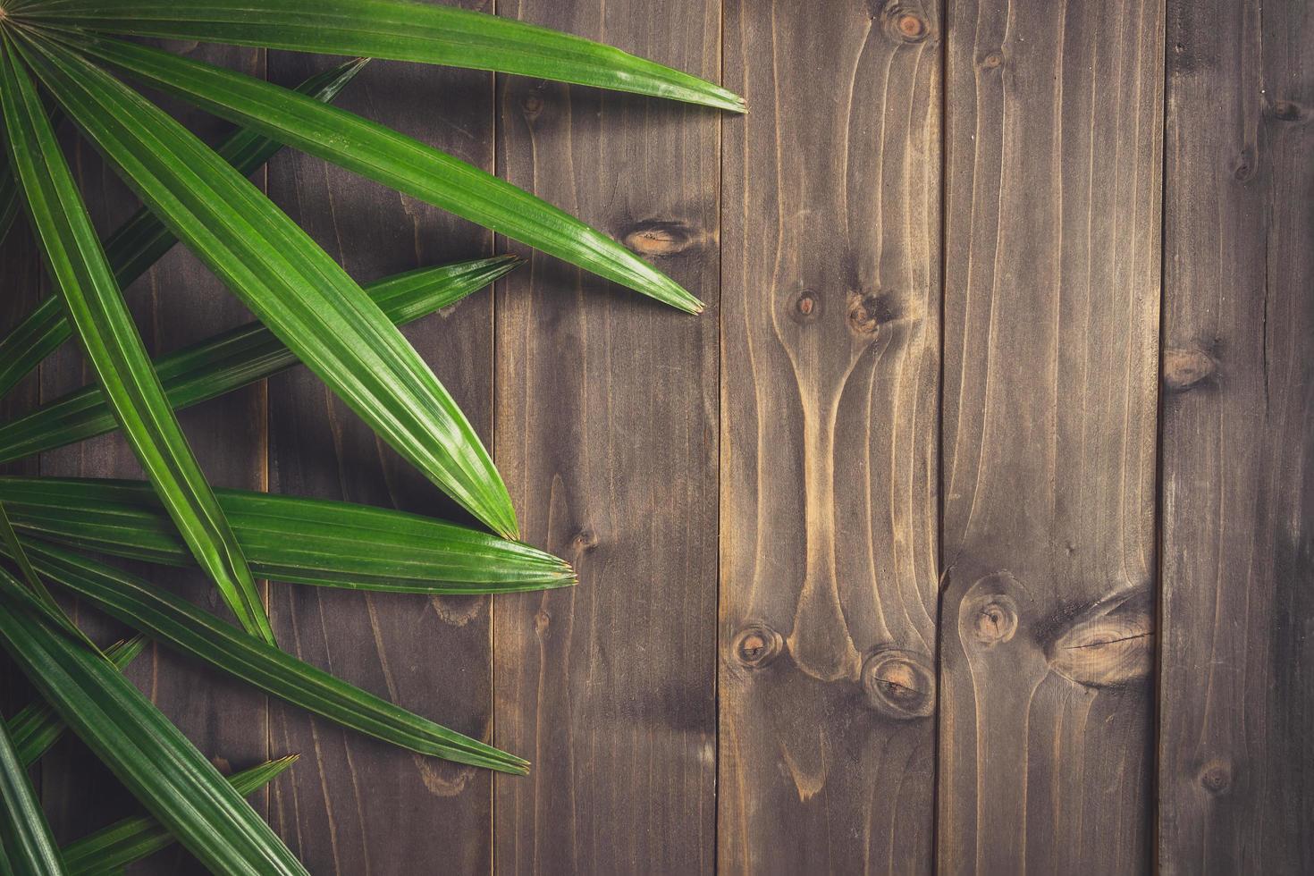 Grün ieaf Hintergrund um alt Holz mit Raum, Jahrgang getönt. foto