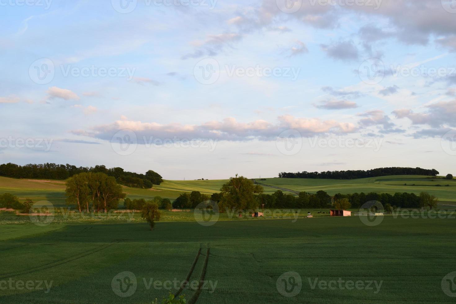 Sonnenuntergang Licht auf Grün breit Felder foto