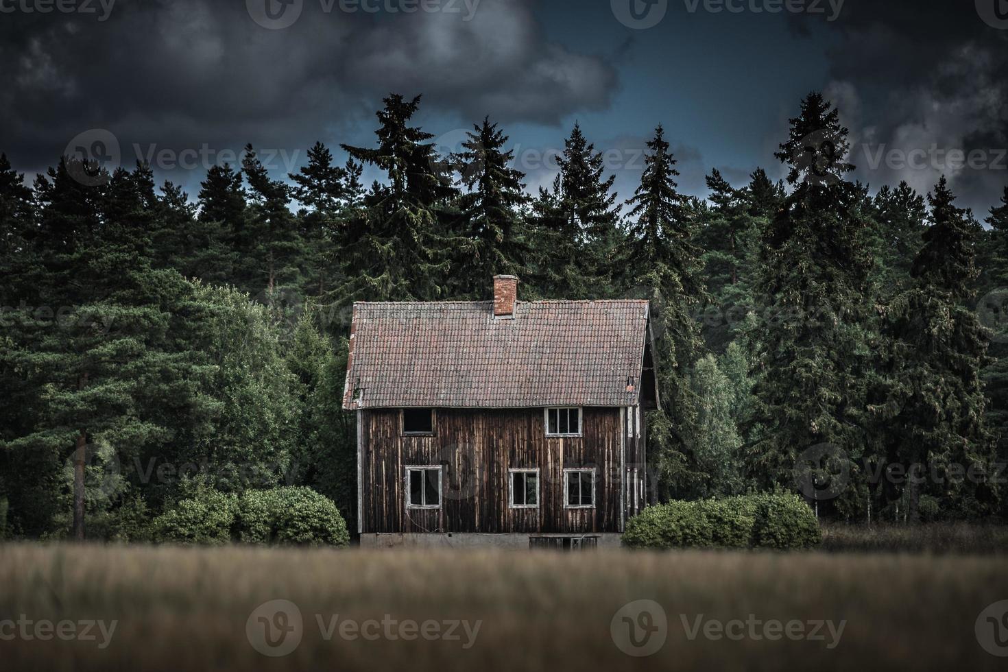 altes verlassenes Haus auf der schwedischen Landschaft foto