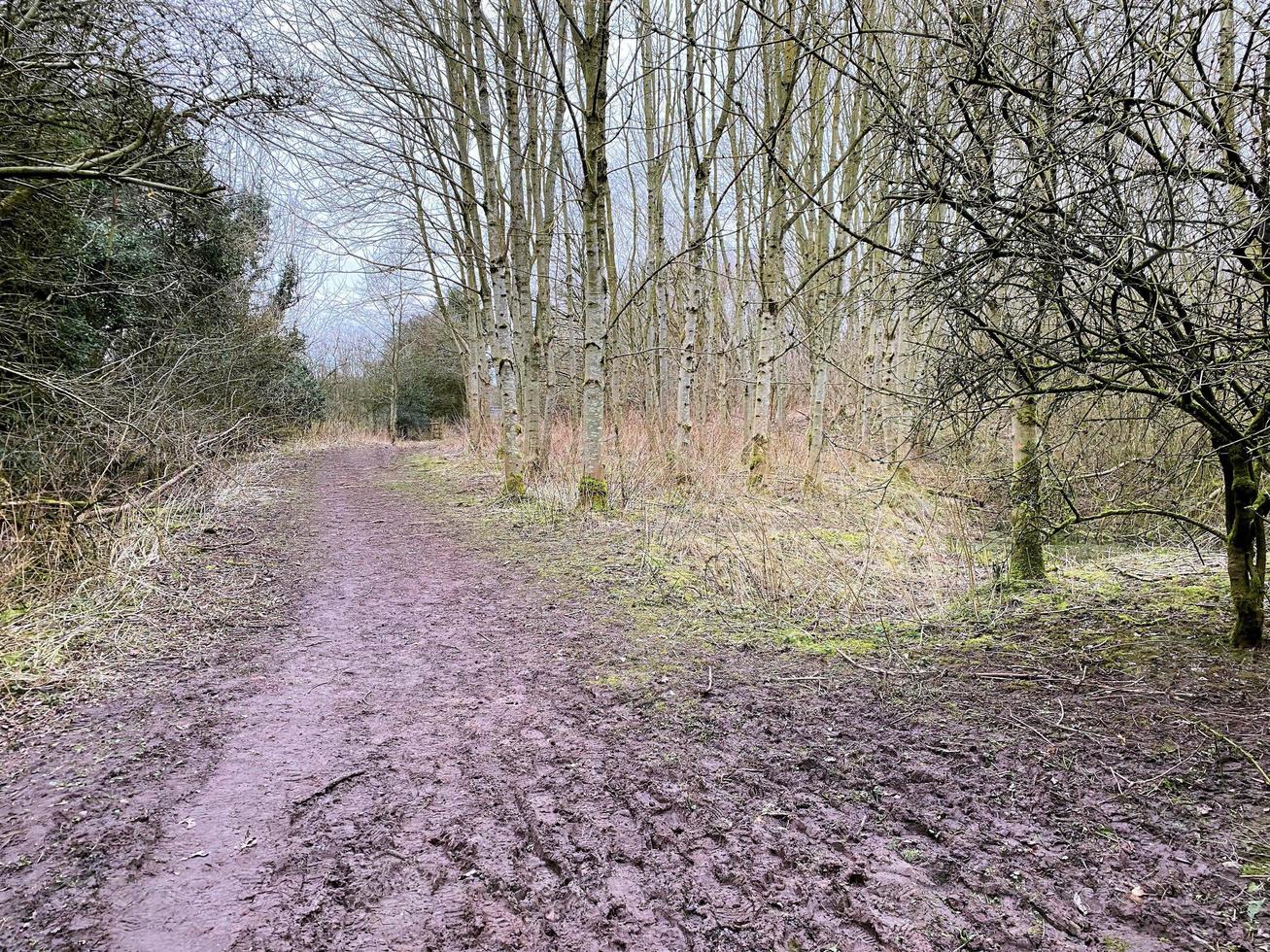 ein Aussicht von grüne Felder Natur Reservieren im Whitchurch foto