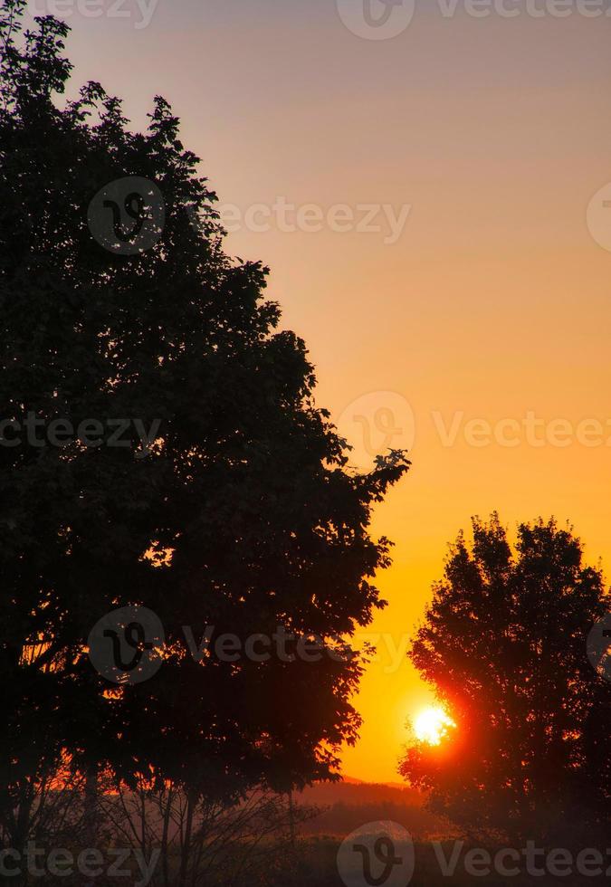 Sonnenuntergang. das Sonne scheint zwischen das Bäume im das golden Licht. Herbst Stimmung. Landschaft foto