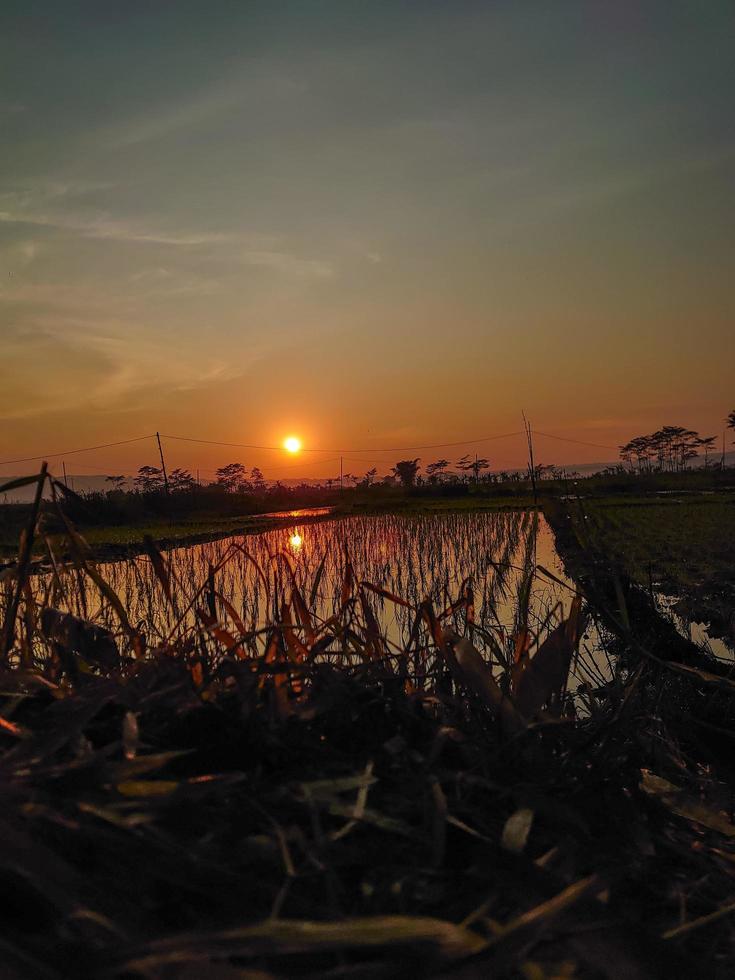 das Morgen Sonne mit Ansichten von das Ambarawa Reis Felder foto