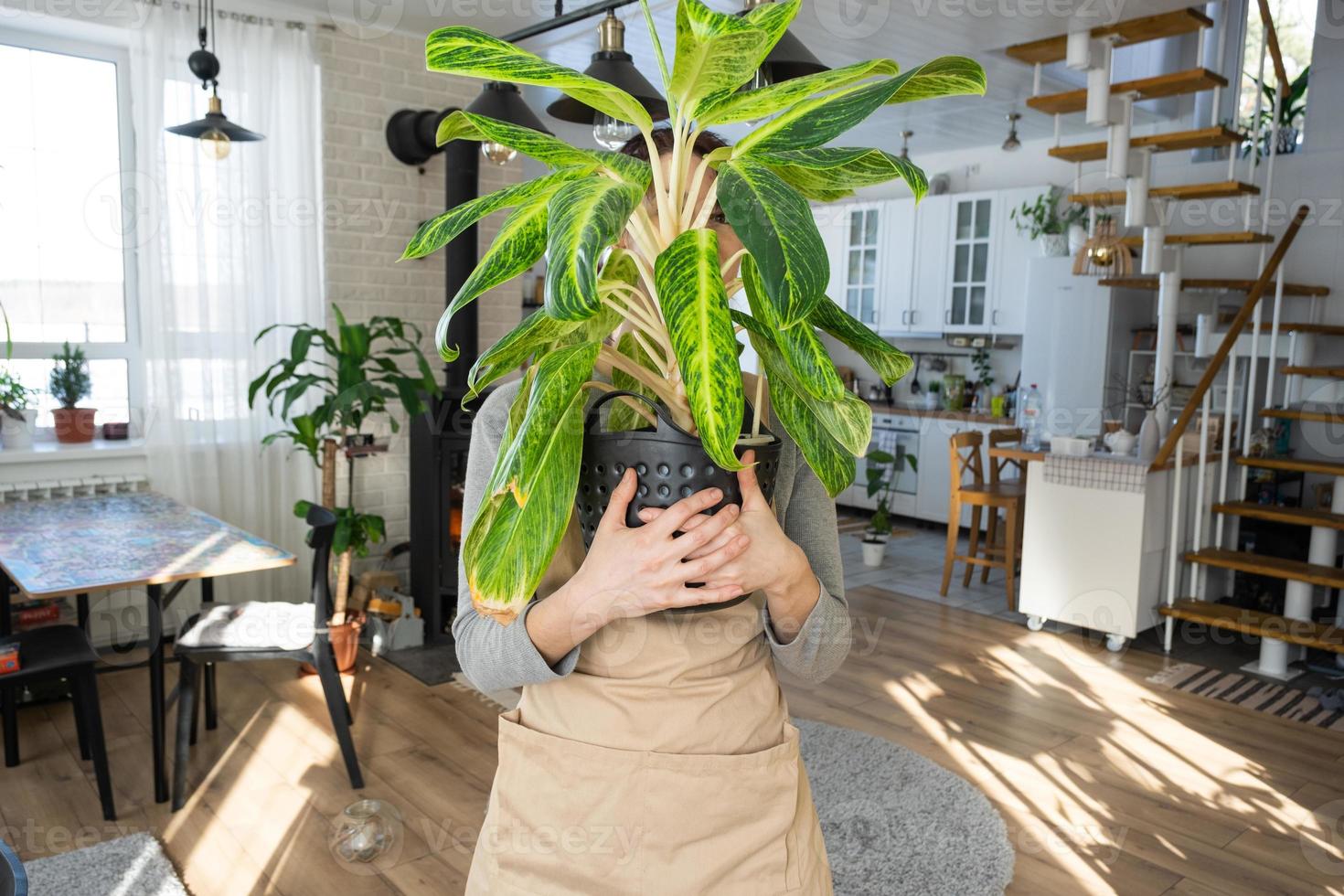 ein glücklich Frau im ein Grün Haus mit ein eingetopft Pflanze im ihr Hände lächelt, nimmt Pflege von ein Blume. das Innere von ein gemütlich umweltfreundlich Haus, ein Kamin Herd, ein Hobby zum wachsend und Zucht Homeplant foto