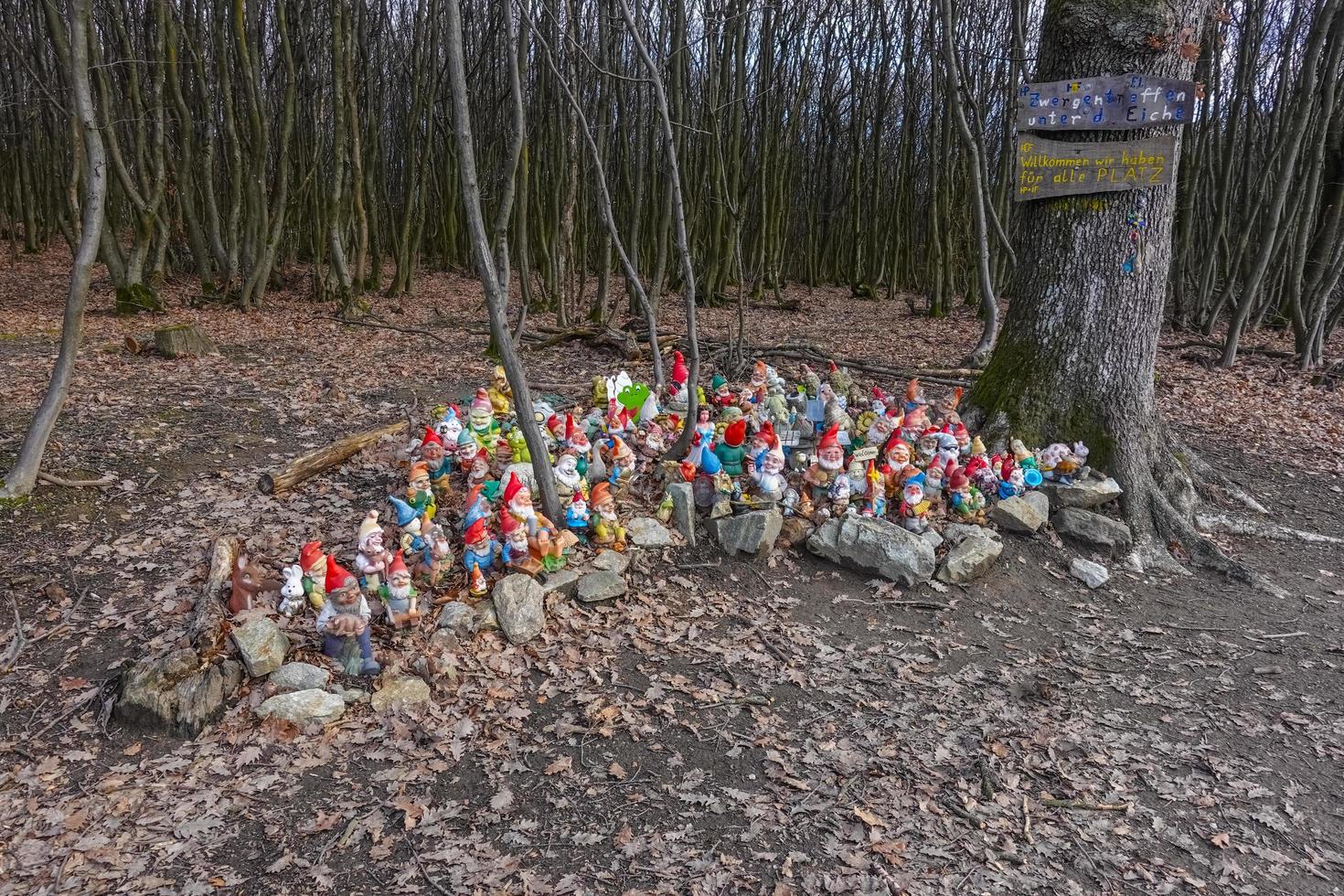 enorm Gruppe von bunt Garten Zwerge beim ein Platz im das Wald foto