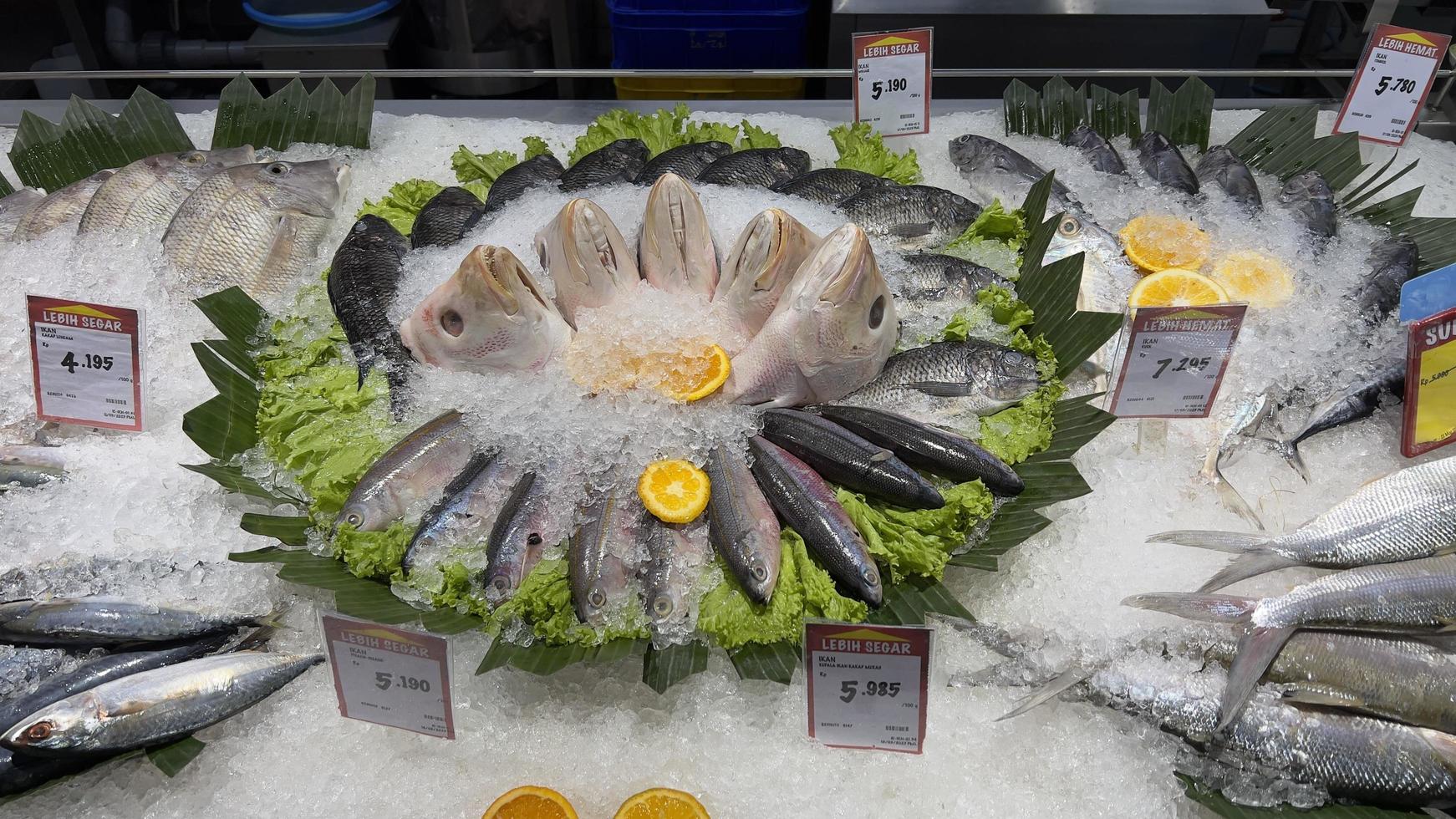 viele von frisch Fisch im das Supermarkt foto