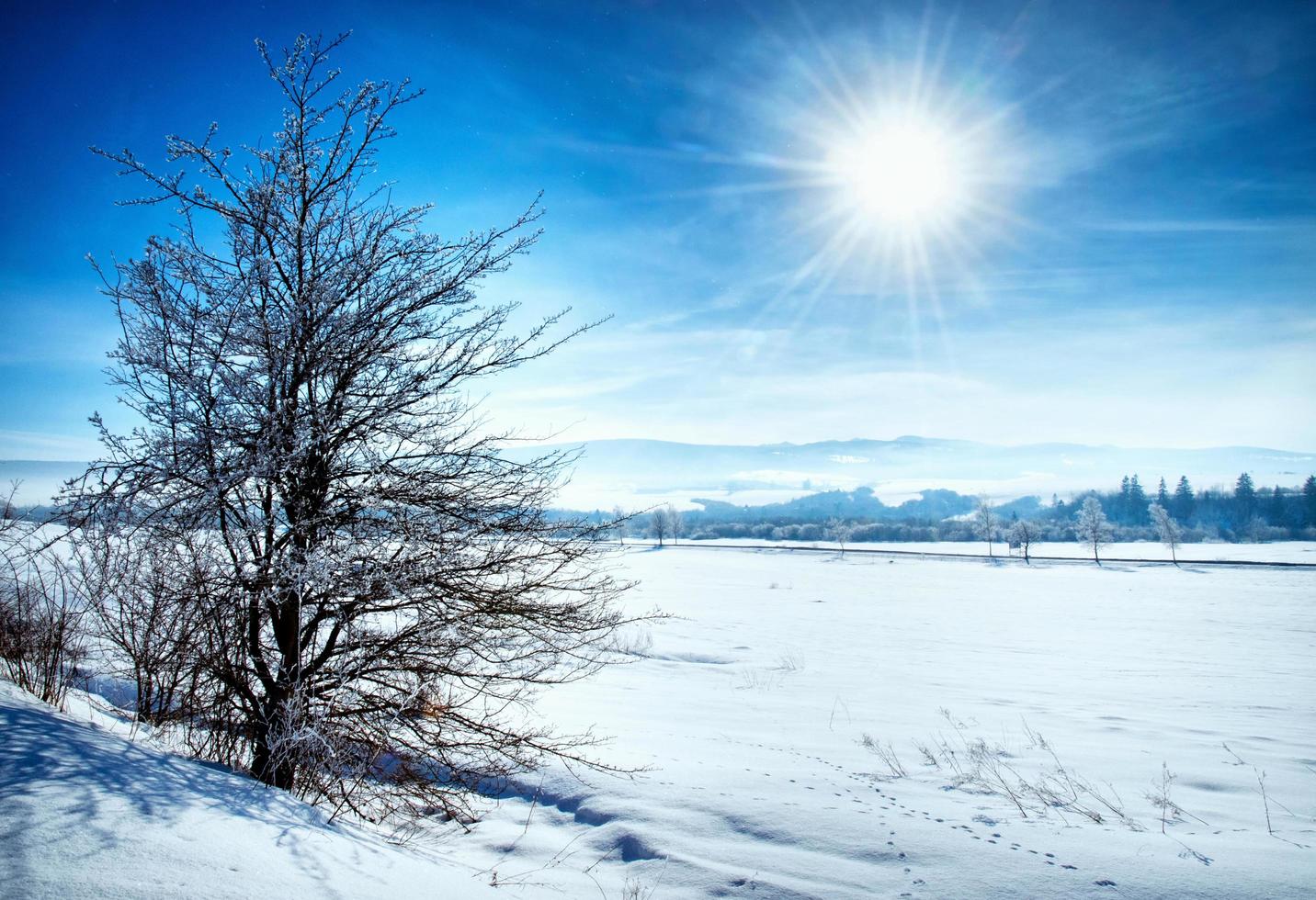 Winterlandschaft gegen Sonnenlicht foto