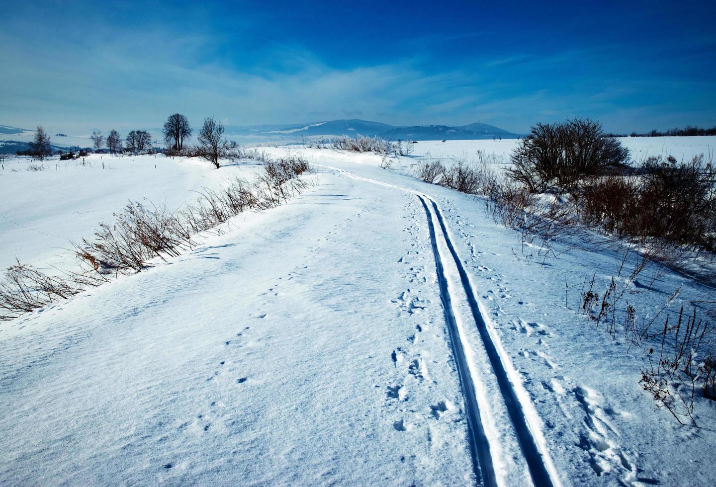 sonnige Winterlandschaft foto