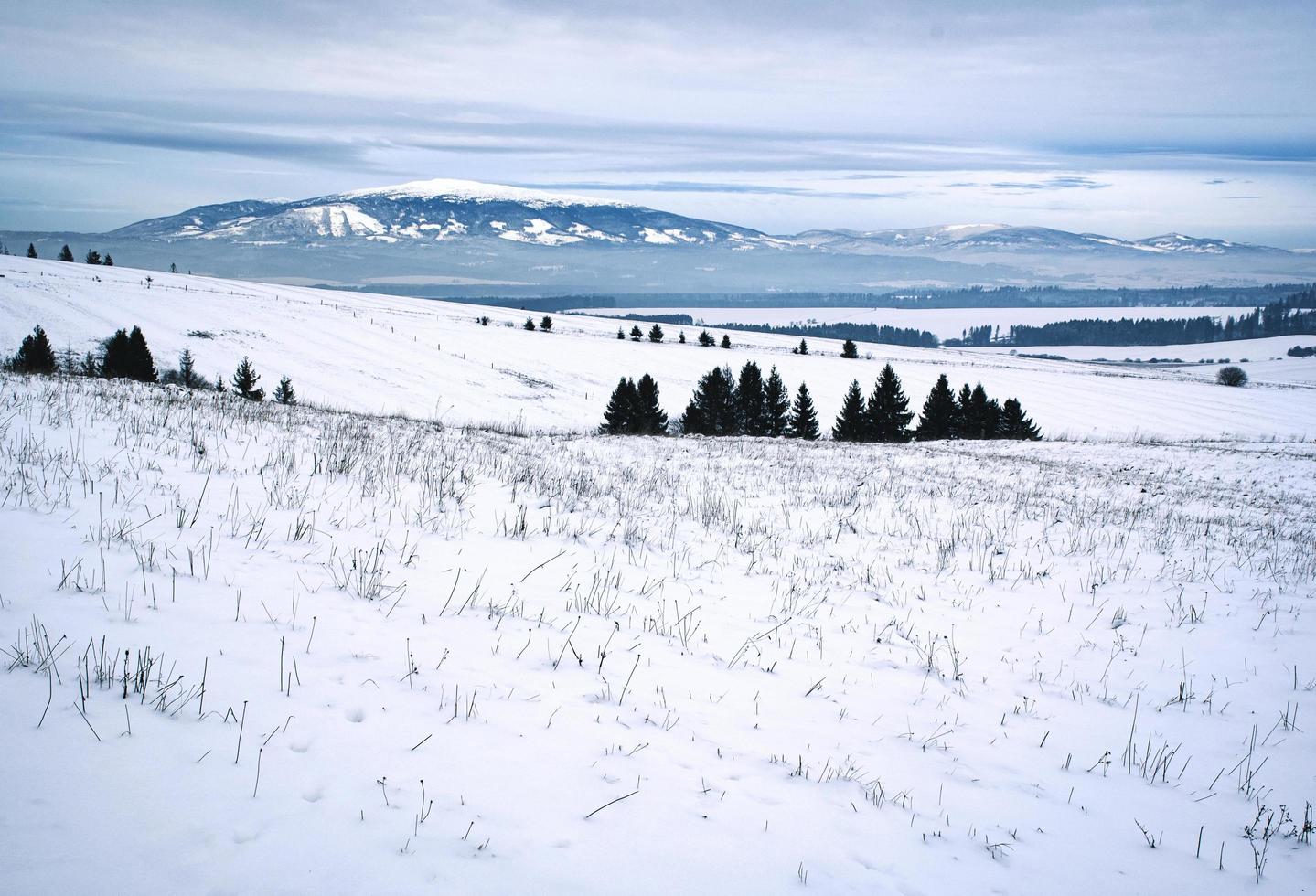 verschneite Landschaft im Hochland foto