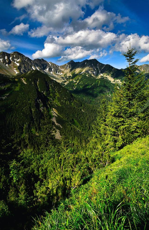 Frühling im Hochgebirge foto