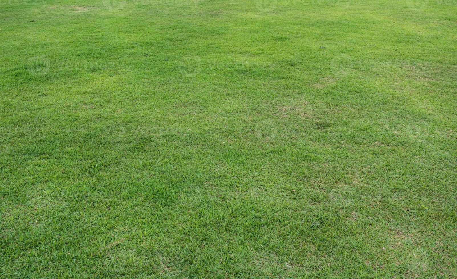 Grün Wiese Gras Feld zum Sport Hintergrund. foto