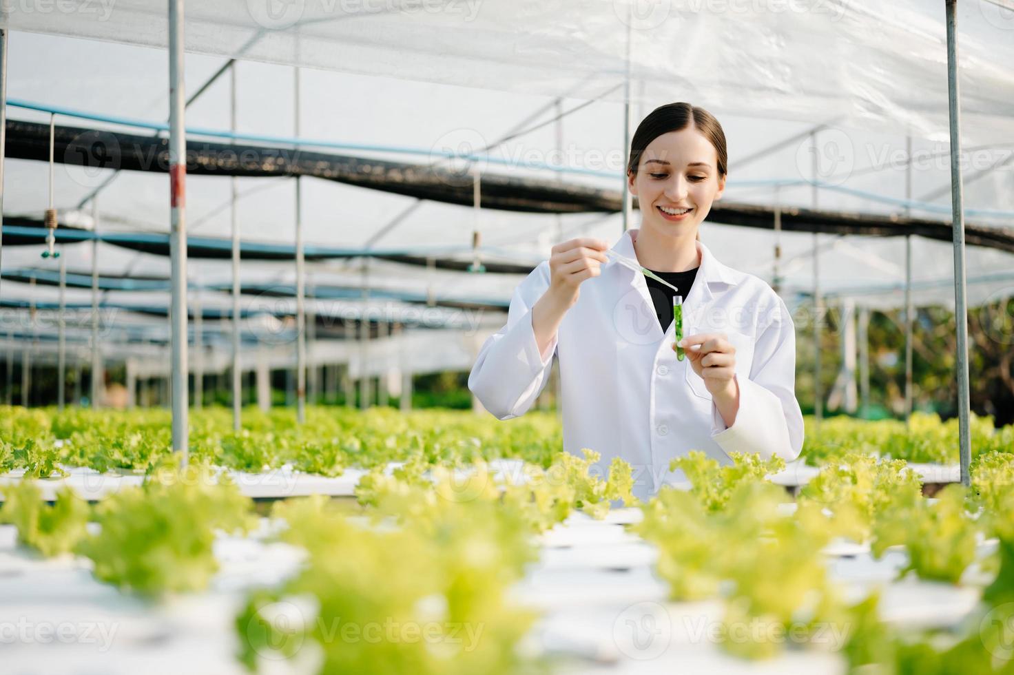 Forscher im Weiß Uniform sind Überprüfung mit ph Streifen im hydroponisch Bauernhof und ph Niveau Rahmen Grafik, Wissenschaft Labor Gewächshaus Konzept. foto