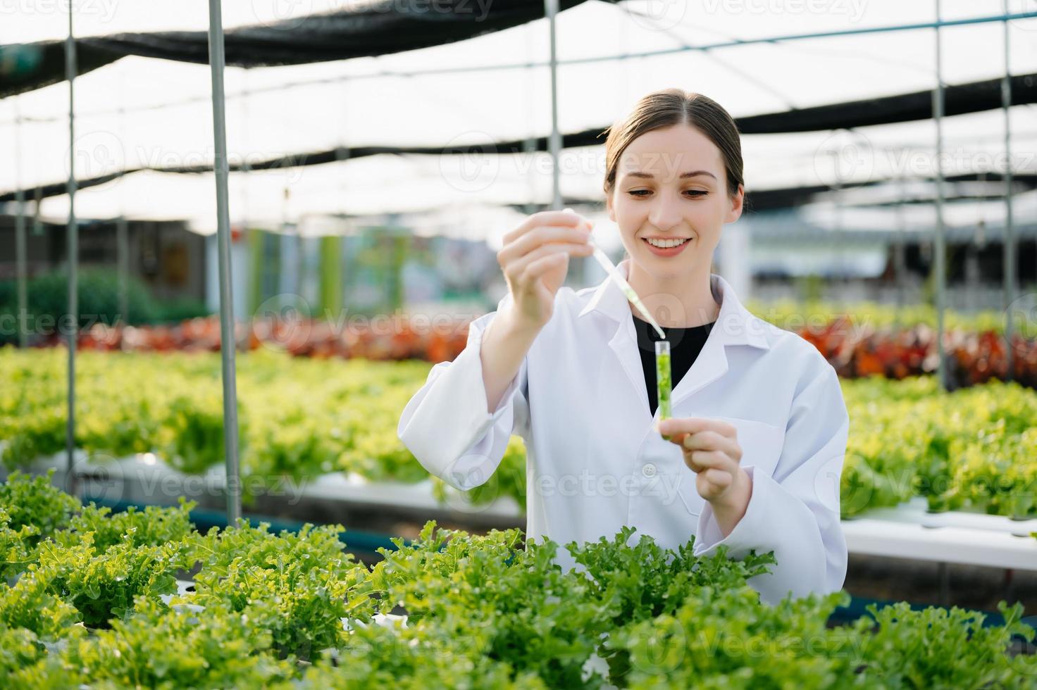 Forscher im Weiß Uniform sind Überprüfung mit ph Streifen im hydroponisch Bauernhof und ph Niveau Rahmen Grafik, Wissenschaft Labor Gewächshaus Konzept. foto