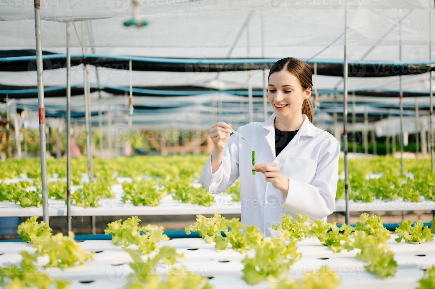 Forscher im Weiß Uniform sind Überprüfung mit ph Streifen im hydroponisch Bauernhof und ph Niveau Rahmen Grafik, Wissenschaft Labor Gewächshaus Konzept. foto