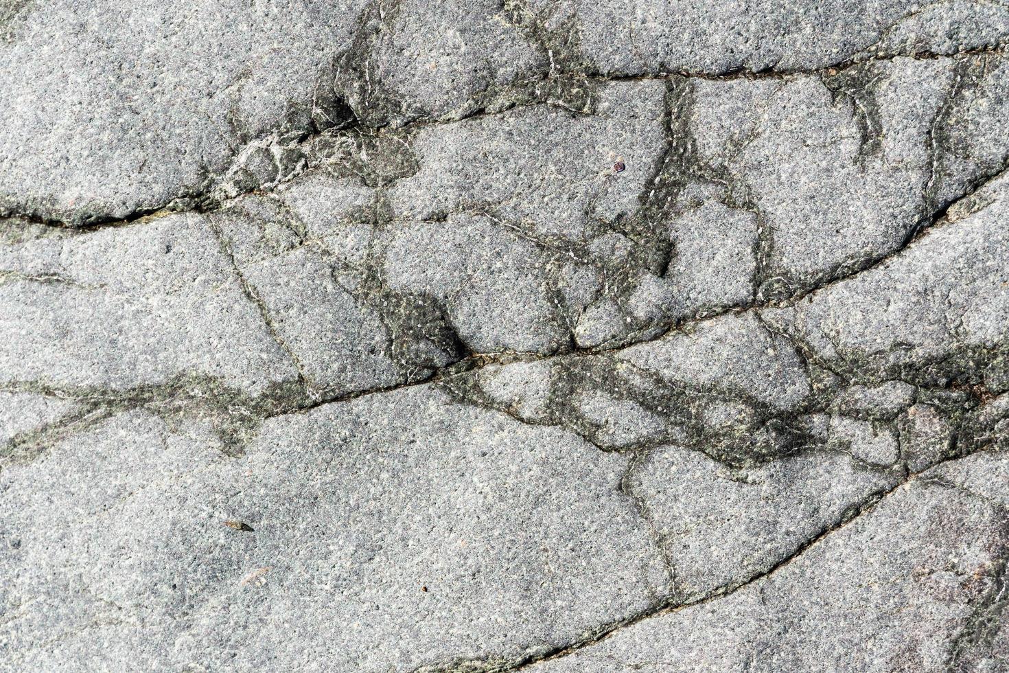 Nahansicht Makro Aussicht Stein Oberfläche grau Farbe. Natur Textur, Muster Hintergrund foto