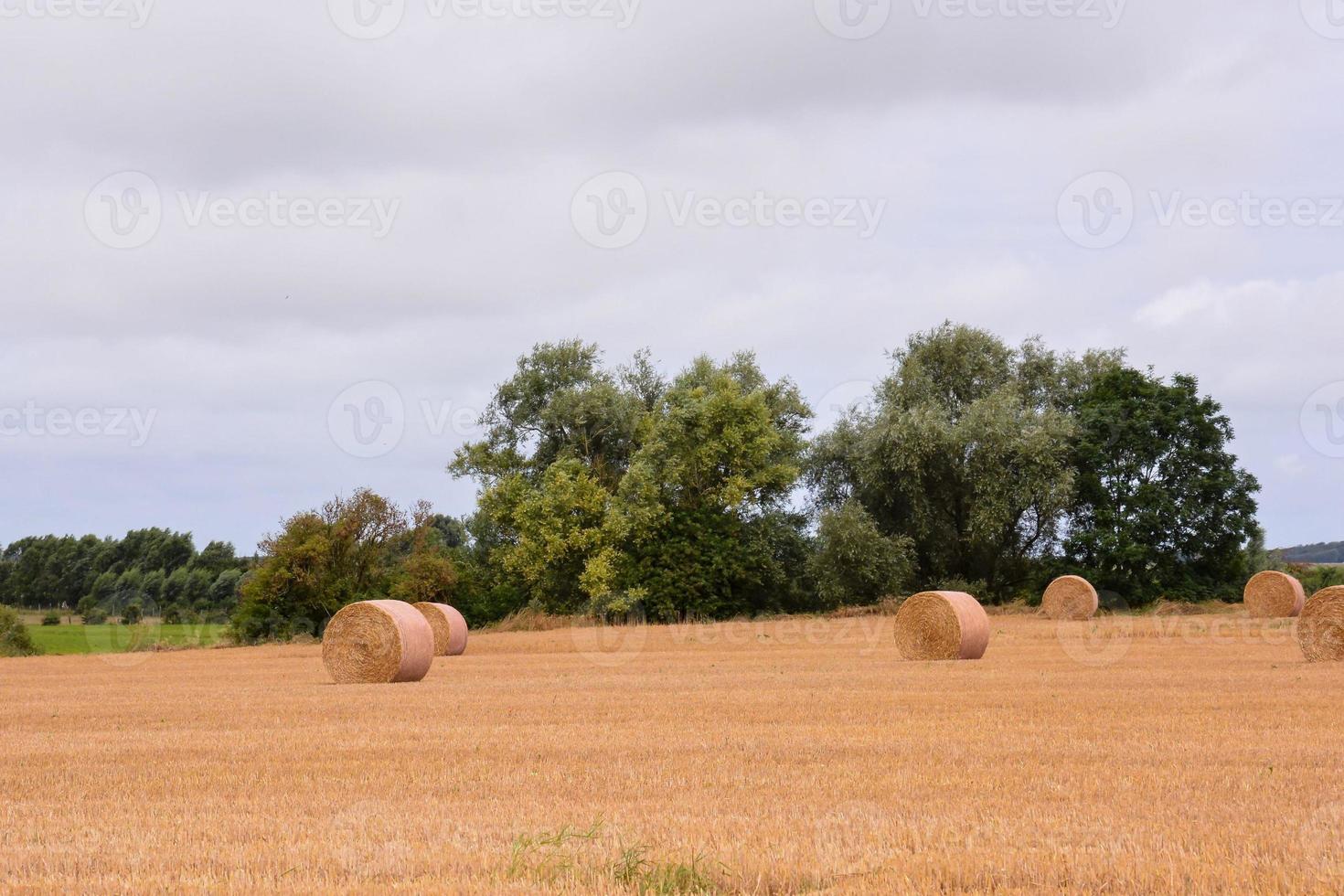 szenisch ländlich Landschaft foto