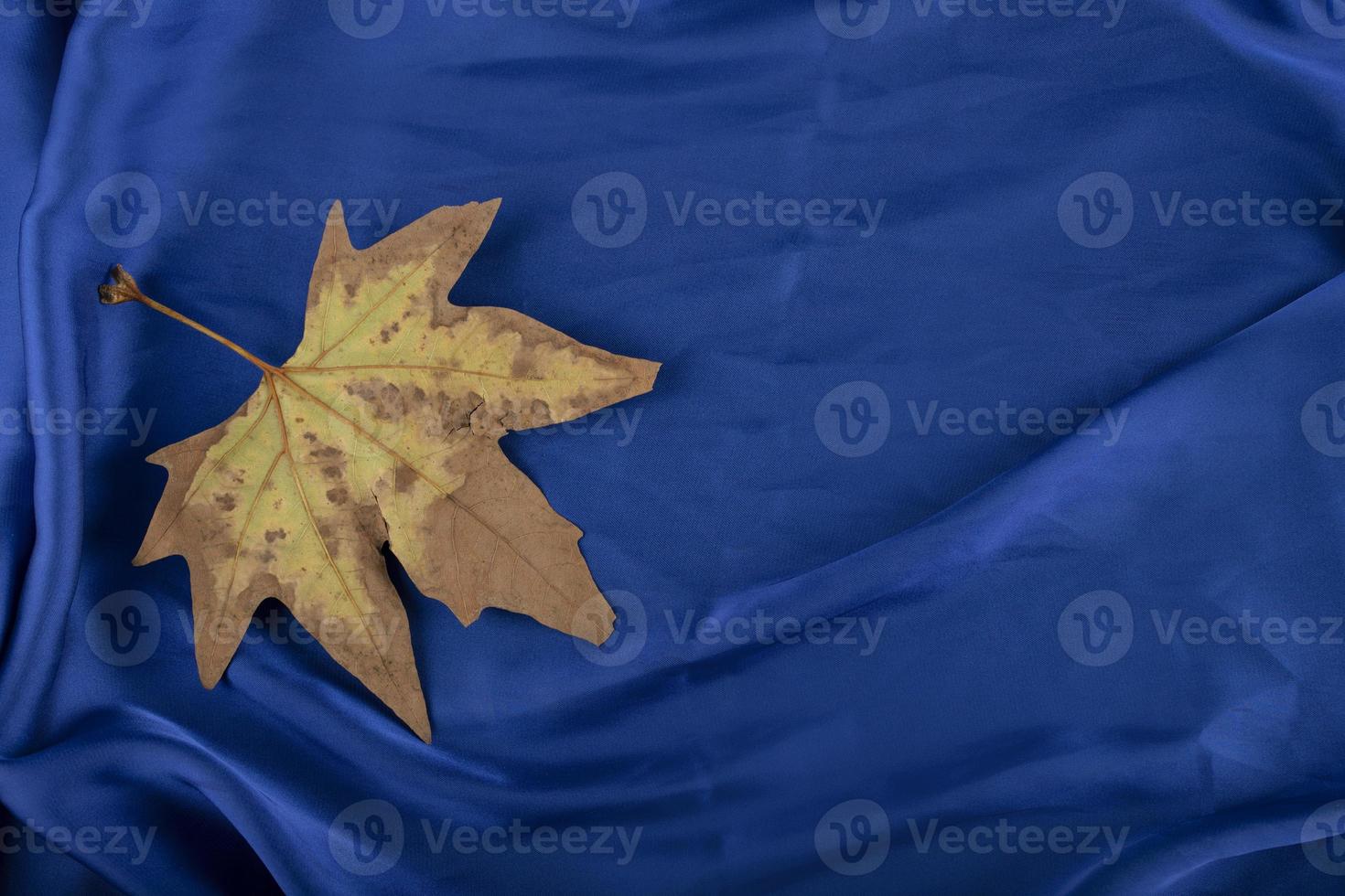 getrocknetes Blatt auf eine blaue Tischdecke gelegt foto