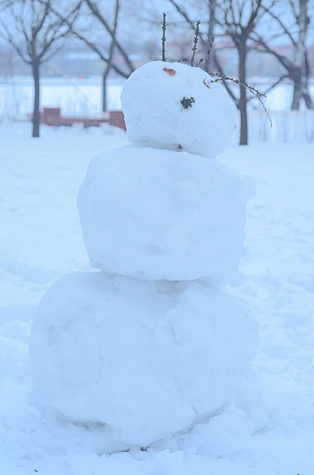 Winter Schneemann im das park.vertikal Foto. foto