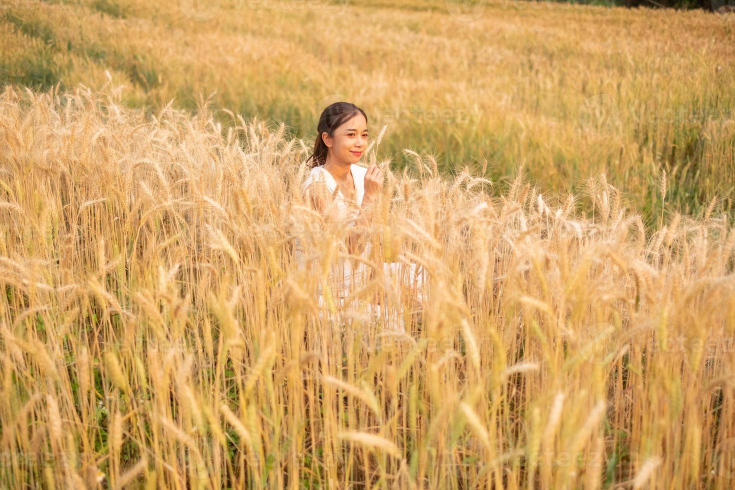 jung asiatisch Frauen im Weiß Kleider im das Gerste Reis Feld foto