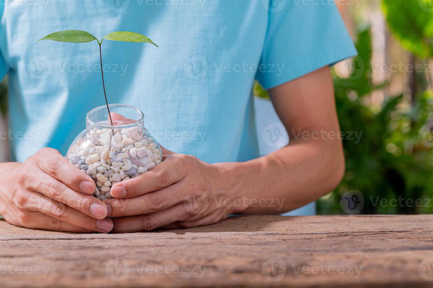 eine Person, die Bäume in Töpfe pflanzt, Konzept für die Liebe zu Pflanzen und zur Umwelt foto