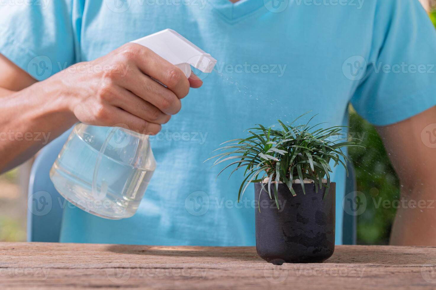 eine Person, die Wasser auf eine Pflanze in einem Topf sprüht foto