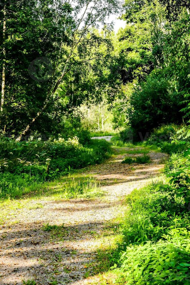 Ländliche Landschaft in Schweden foto