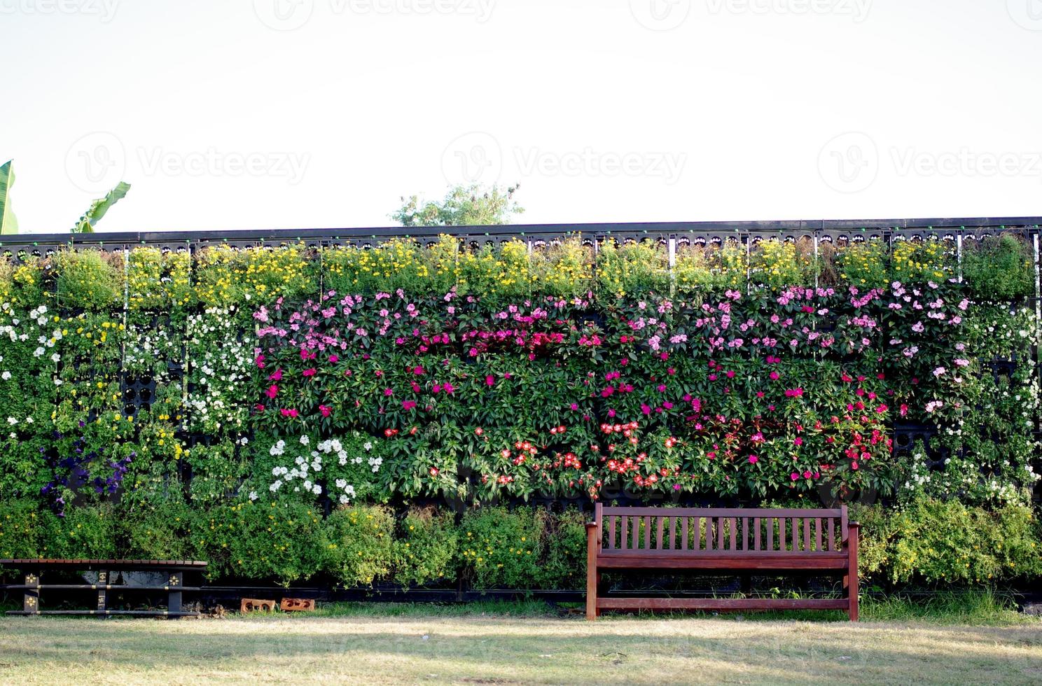 hölzern Stuhl im Vertikale Garten foto