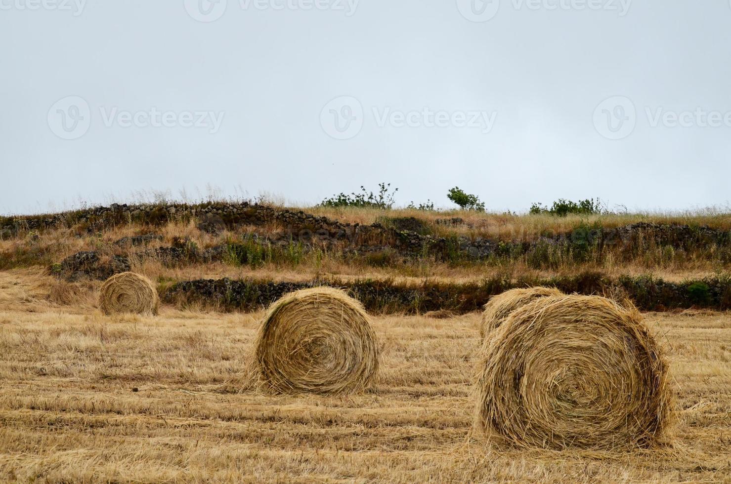 szenisch ländlich Landschaft foto