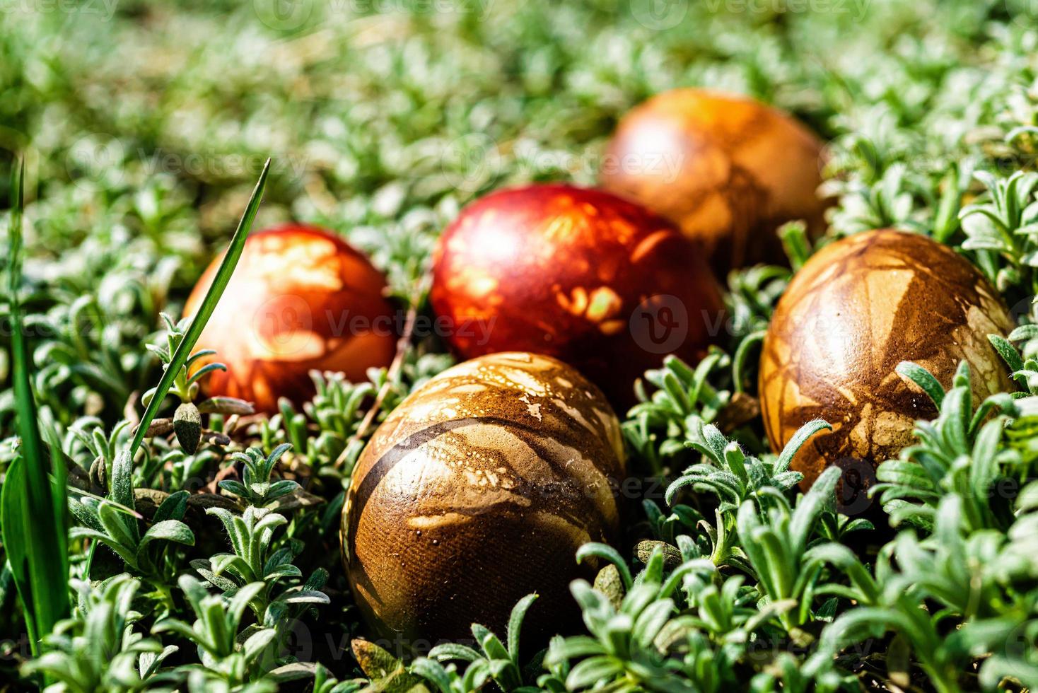 bunte Ostereier im grünen Gras foto