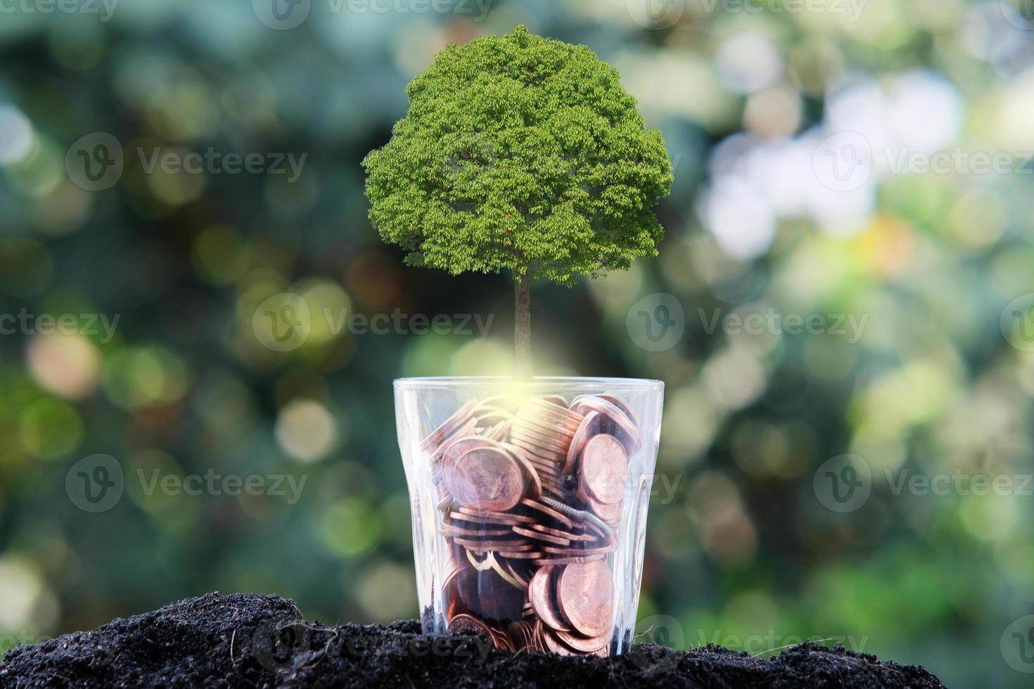Baum, der von einem Baum wächst, Geschäftswachstumskonzept foto