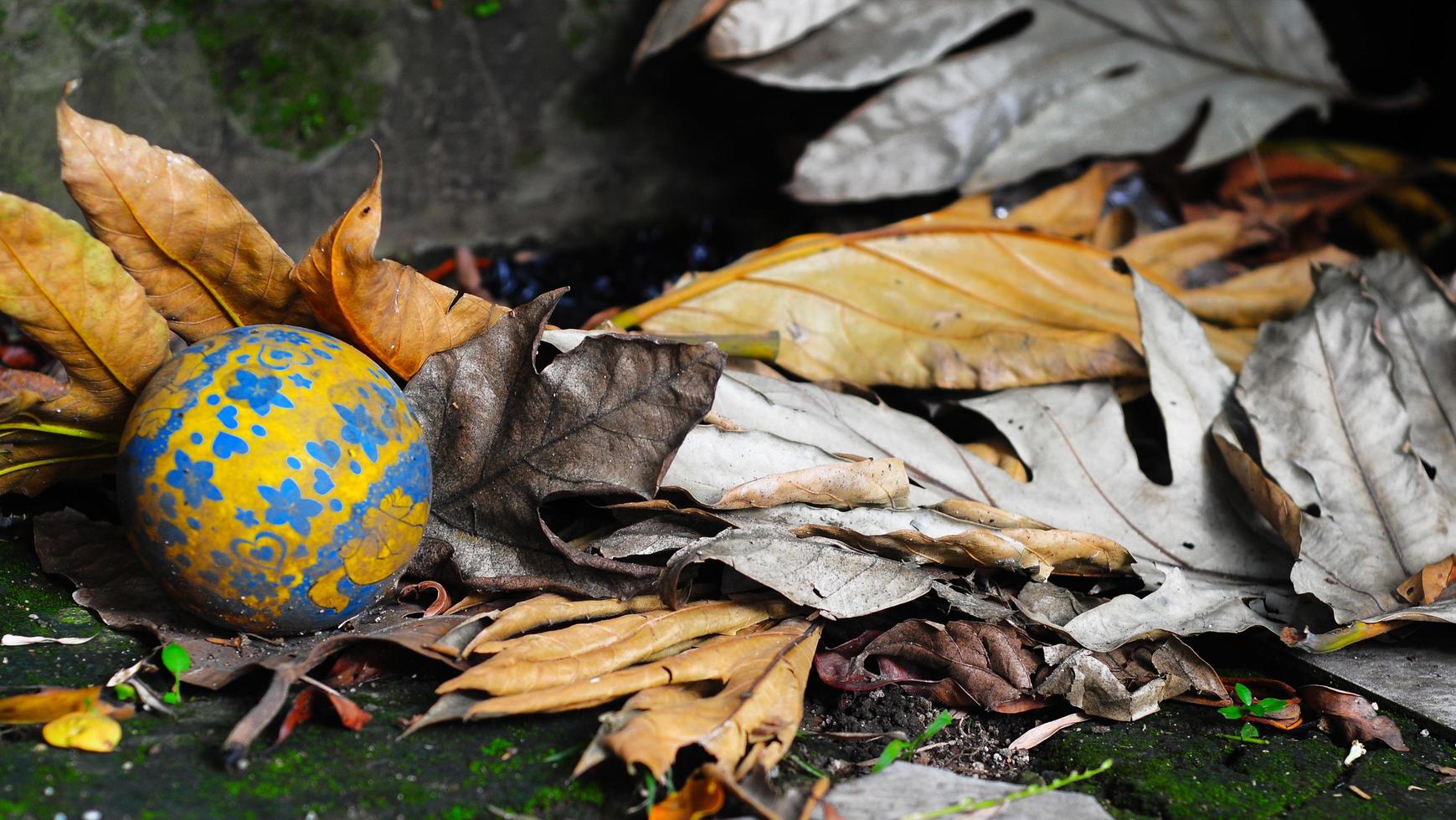 Herbst Blätter von gefallen Ahorn Blatt auf hölzern Oberfläche trocken verlassen Ball Hintergrund foto