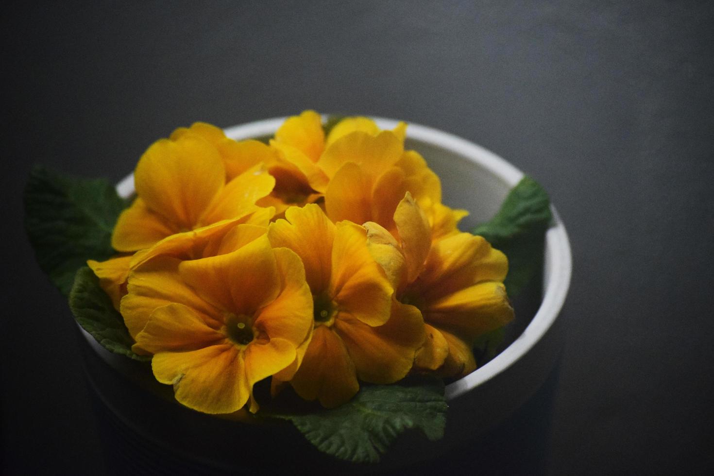 Schüssel mit gelben Blumen foto