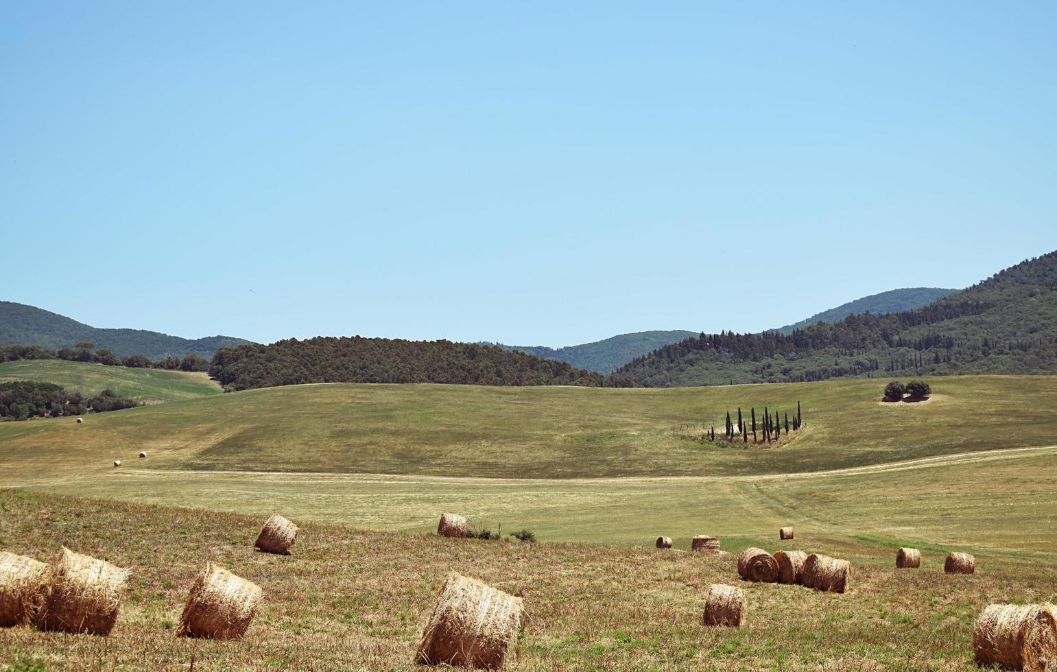 Heuballen auf einem Feld foto